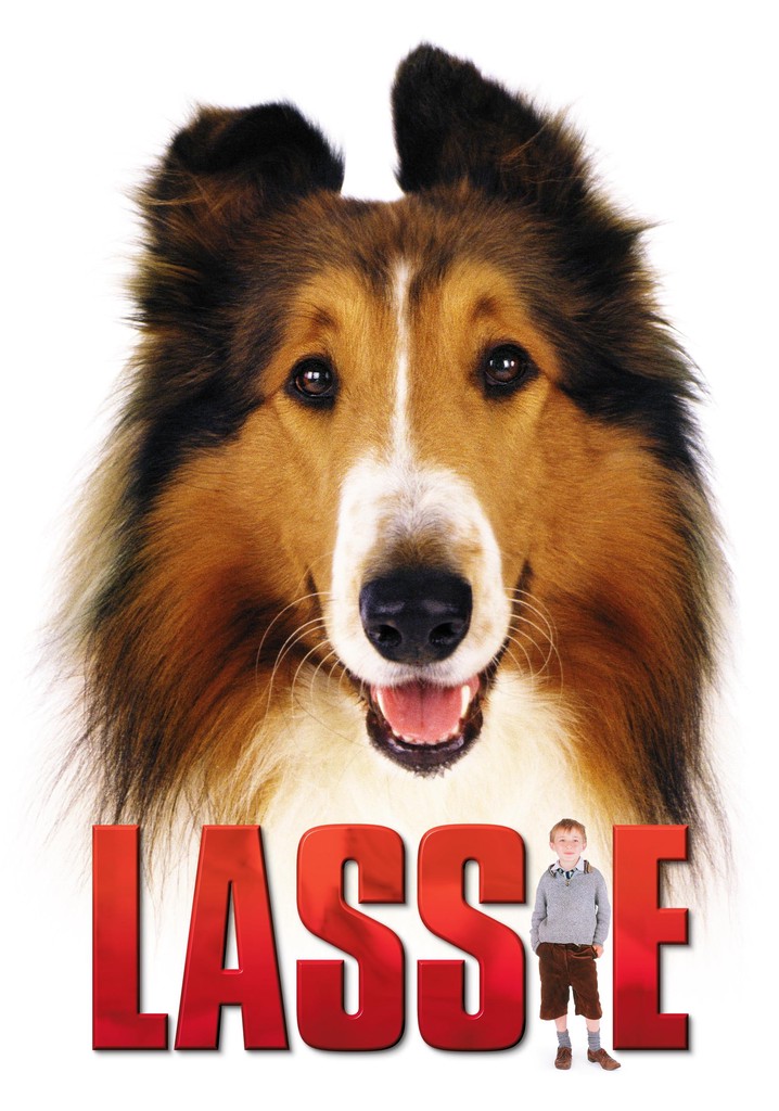Lassie Película Ver Online Completas En Español